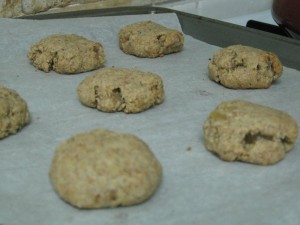 Vegan, Gluten Free Chocolate Chip Cookies...and other treats :)