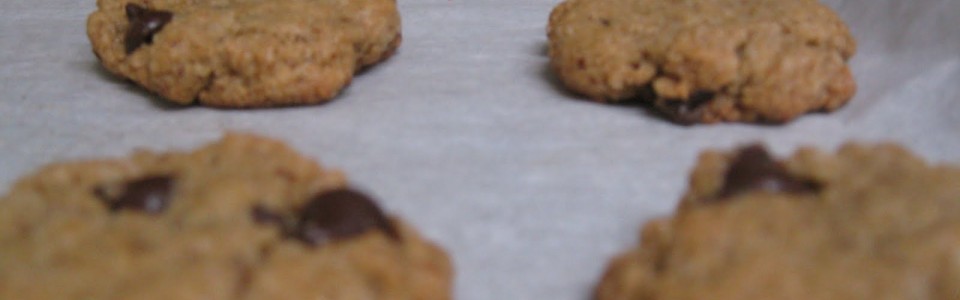 Vegan, Gluten Free Chocolate Chip Cookies…and other treats :)