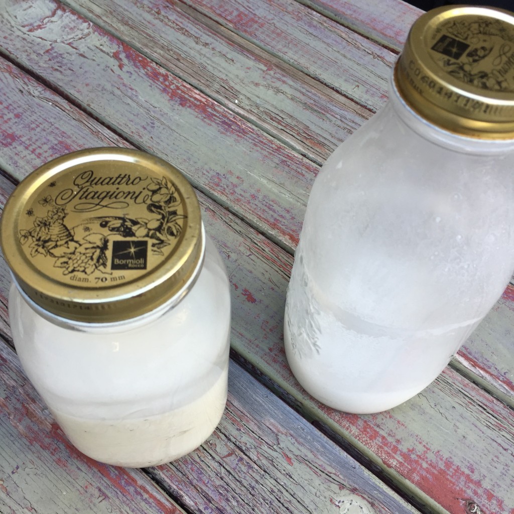 Homemade Organic Coconut Milk