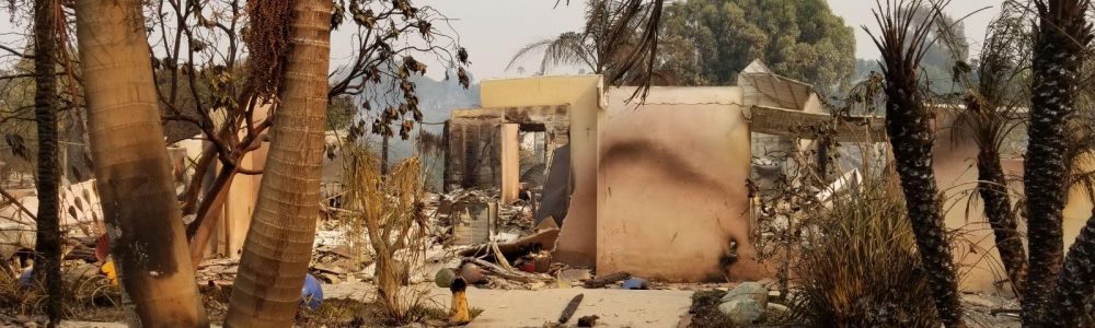 Rising From the Ashes – Woolsey Fire 2018